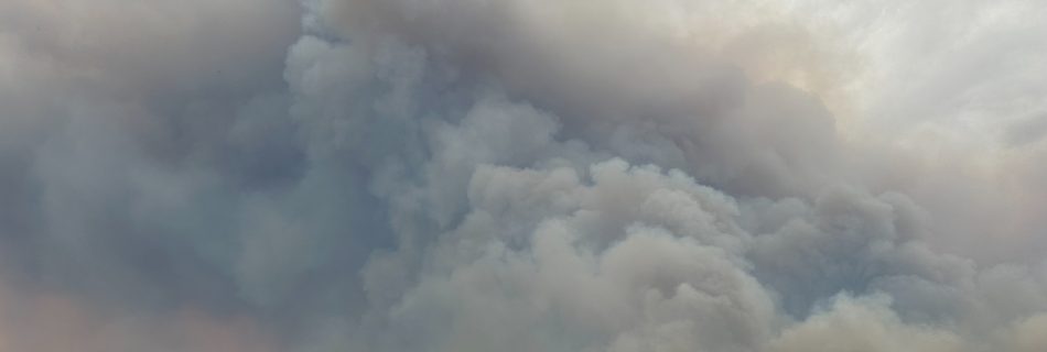 Smoke from Freeman Fire in Webinar: Fire in the Southwest: Fire Season 2024 Overview and 2025 Outlook