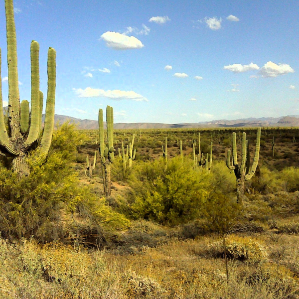 April 2015 on the Beeline Trail