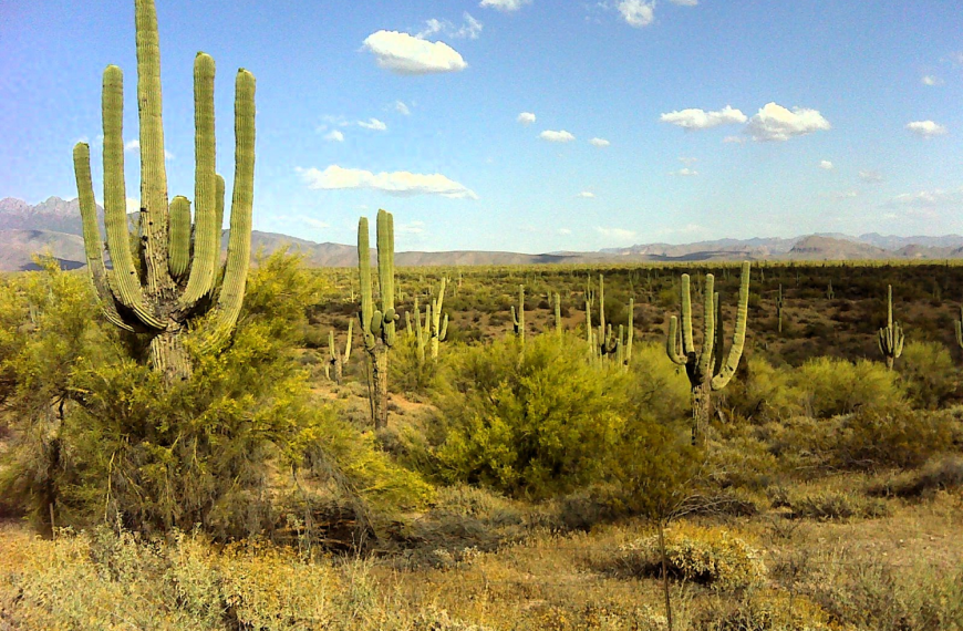 April 2015 on the Beeline Trail