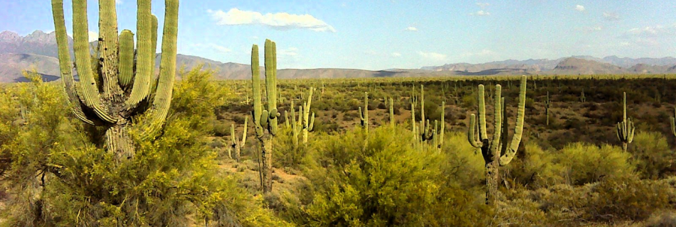 April 2015 on the Beeline Trail
