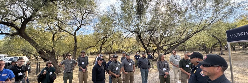 Arizona Department of Forestry prevention staff standing near trees in the Sonoran Desert to discuss their outreach strategies with colleagues at the 2024 AZ WUI Summit.
