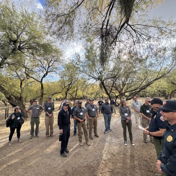 Arizona Department of Forestry prevention staff standing near trees in the Sonoran Desert to discuss their outreach strategies with colleagues at the 2024 AZ WUI Summit.