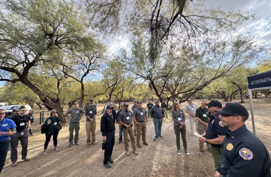 Arizona Department of Forestry prevention staff standing near trees in the Sonoran Desert to discuss their outreach strategies with colleagues at the 2024 AZ WUI Summit.