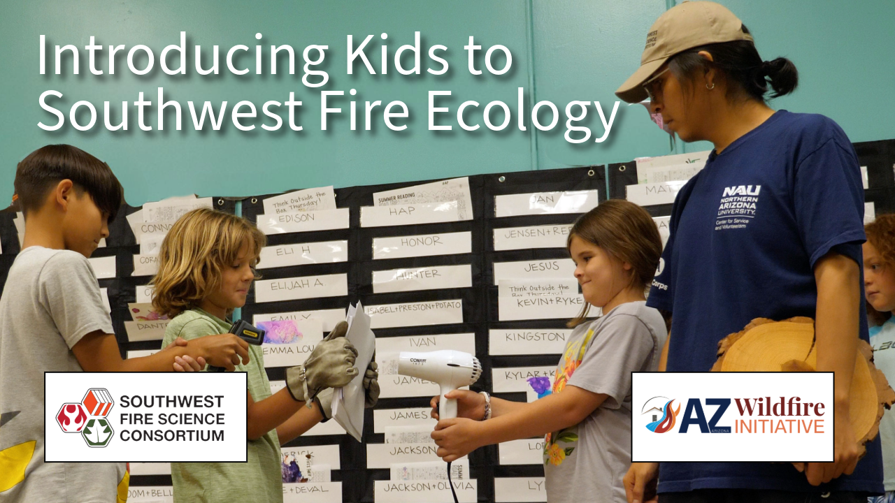 Image of kids learning about fire ecology