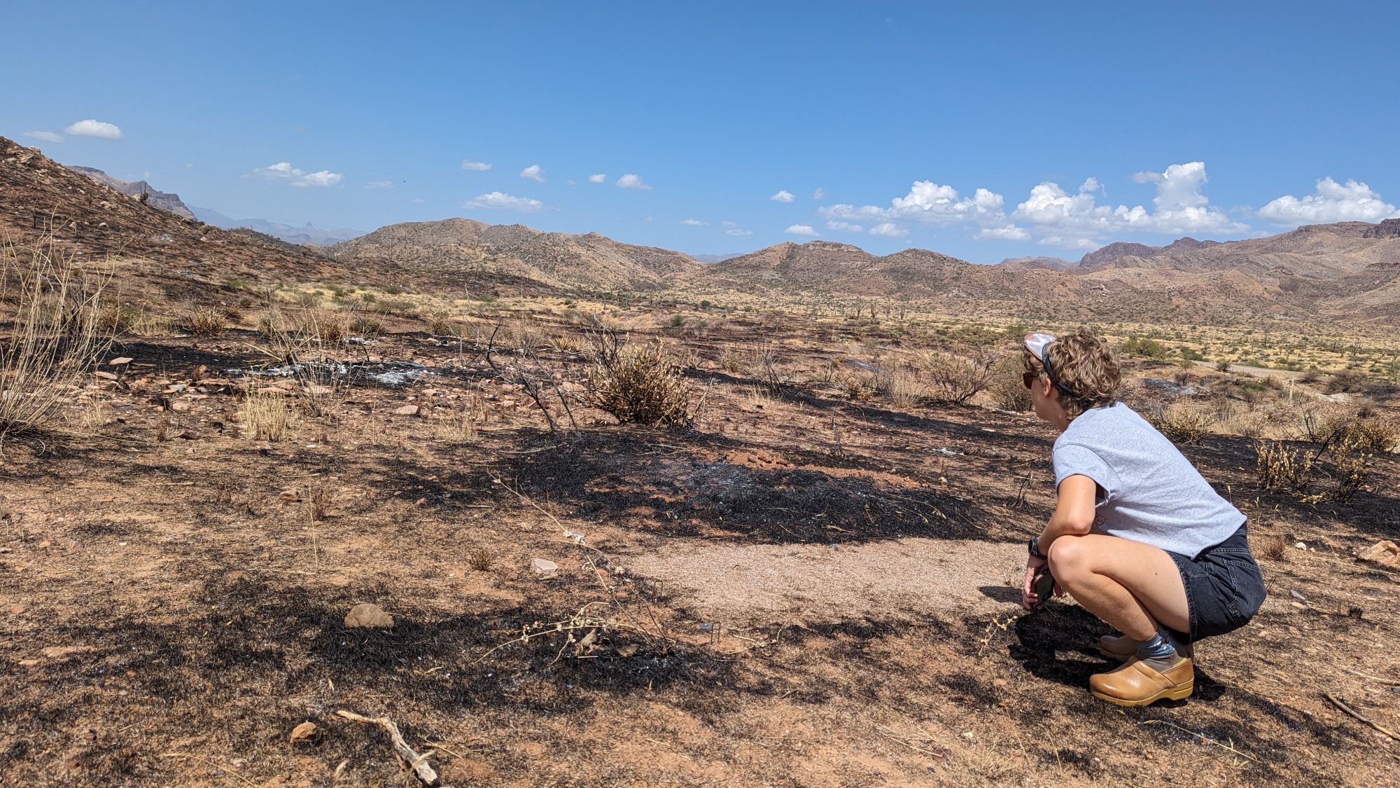 Image for SWFSC webinar on biocrusts in Sonoran and Mojave Deserts