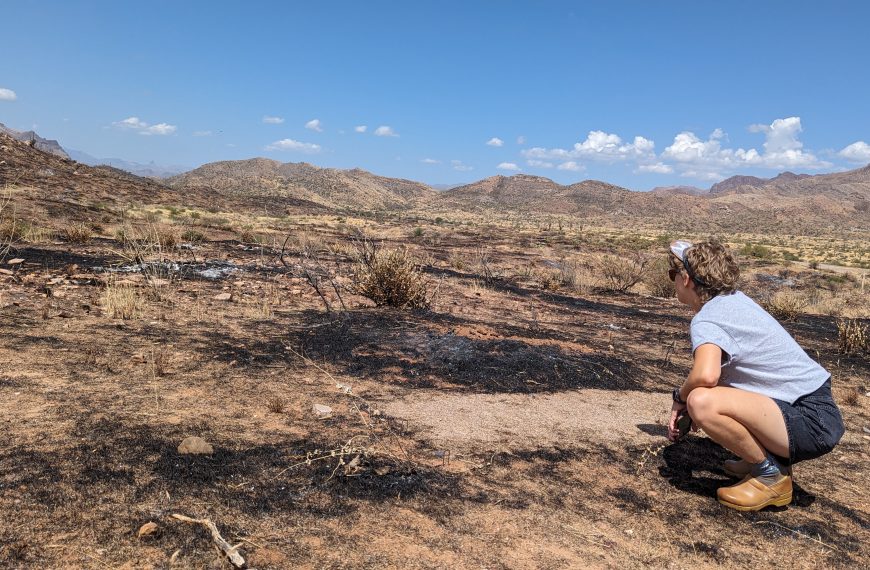 Image for SWFSC webinar on biocrusts in Sonoran and Mojave Deserts