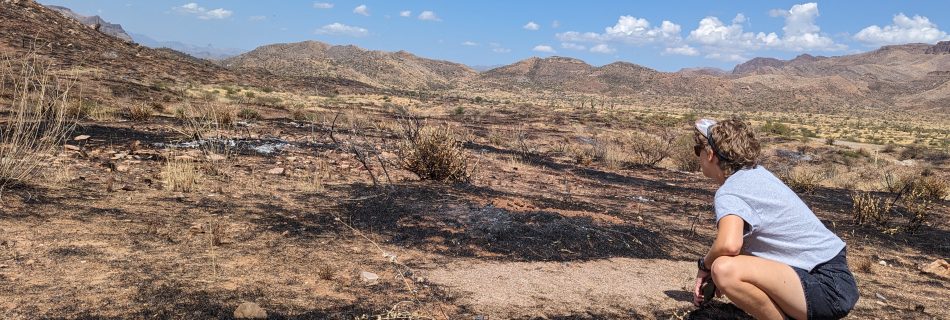 Image for SWFSC webinar on biocrusts in Sonoran and Mojave Deserts