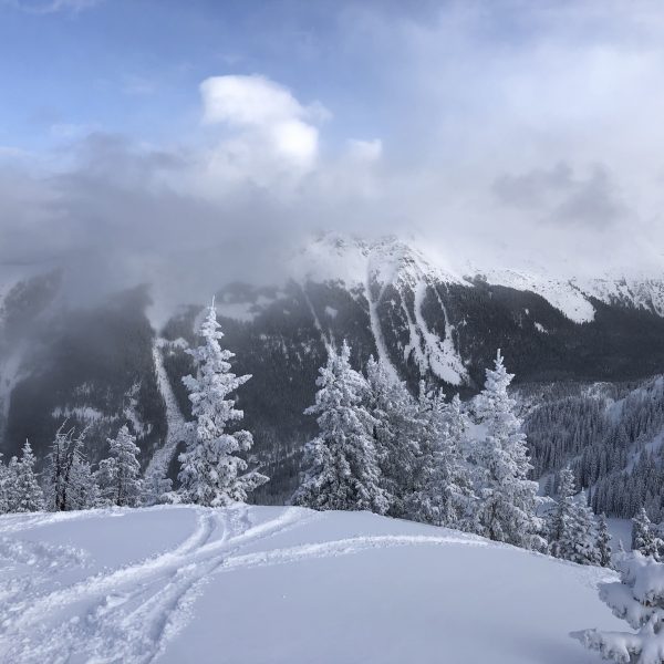 Winter in high elevation, spruce-fir forest at Taos Ski Valley