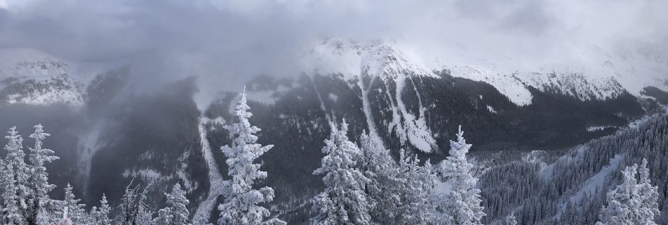 Winter in high elevation, spruce-fir forest at Taos Ski Valley
