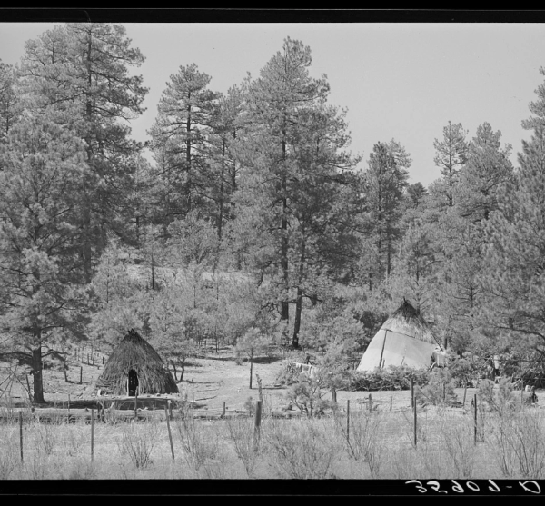 Tree-rings reveal the legacy of Indigenous cultural burning in the Southwest USA