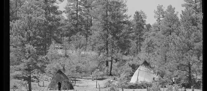 A Western Apache farm site in ponderosa pine forests in eastern Arizona in 1940. Farm sites such as this were the focus of Western Apache land-use and fire management for centuries. Lee Russell/Library of Congress