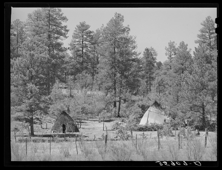 Tree-rings reveal the legacy of Indigenous cultural burning in the Southwest USA